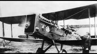 Soviet Polikarpov R-1 (1920s)