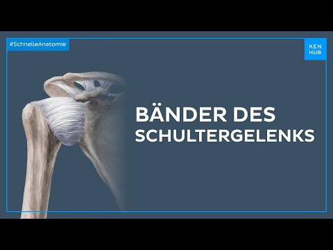 Bänder des Schultergelenks - Anatomie einfach erklärt | Kenhub