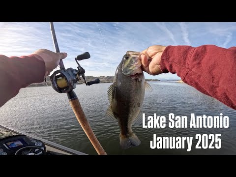 LAKE SAN ANTONIO JANUARY 2025 NEW YEAR NEW LAKE BASS FISHING