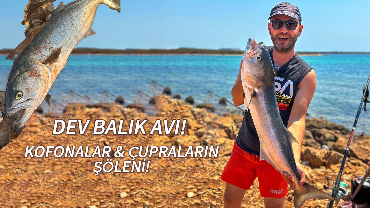 DİDİM'DE EFSANE AV! DEV ÇUPRALAR, DEV KOFONALARLA MÜCADELE! KOFONA'YI DENİZDEN ÇIKARDIM!🎣🐟