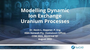 Modelling Dynamic Ion Exchange Uranium Processes