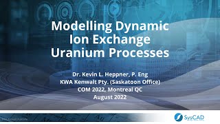 Modelling Dynamic Ion Exchange Uranium Processes