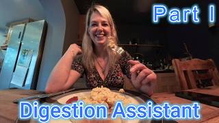 Digestion Assistant Part 1 Preview