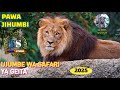 PAWA JIHUMBI UJUMBE SAFARI YA GEITA 0697722799 Msambazaji Ludima TV 2025 PAWA JIHUMBI UJUMBE SAFARI YA GEITA 0697722799 Msambazaji Ludima TV 2025