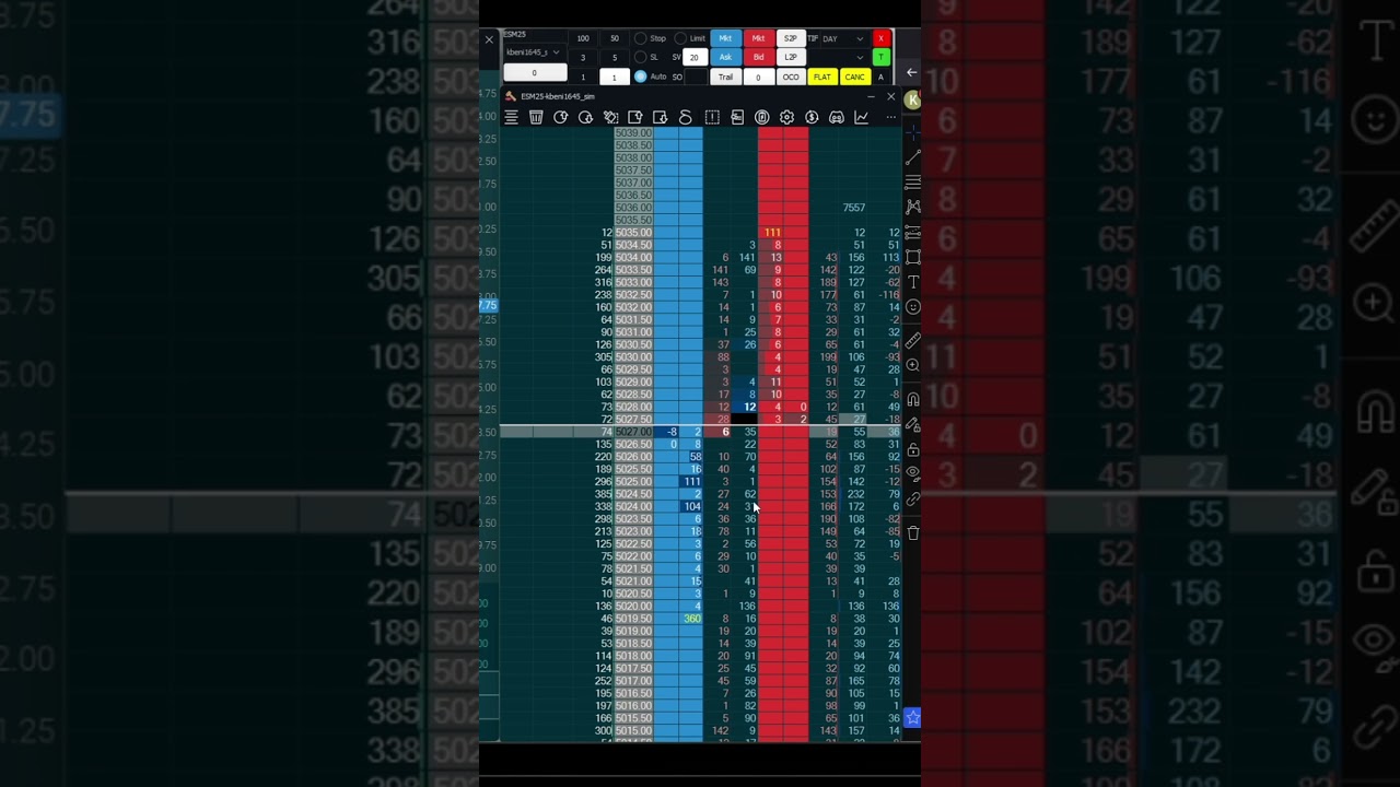 What Spoofing The Market Looks Like on The DOM 