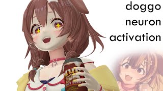 KORONE ROOT BEER!!! | Hololive Animation