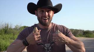 Snake Hunt 2018 Part 2: Horned Lizards, Toads, and Vinegaroons