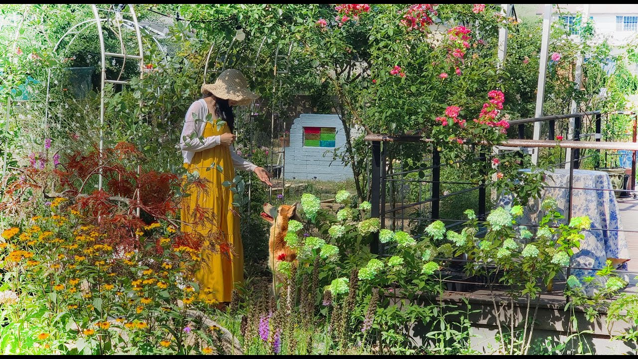 № 95.Садоводство? Сауна? Утомительное садоводство в разгар лета! | Витражное искусство своими руками