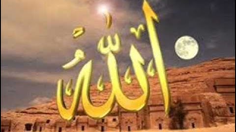 سورة المنافقون للشيخ حسن صالح