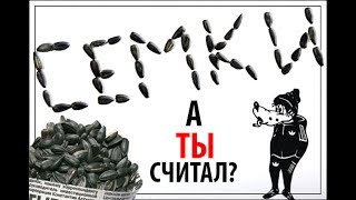 Посчитал ВСЕ СЕМКИ в пачке семечек. А ты считал?