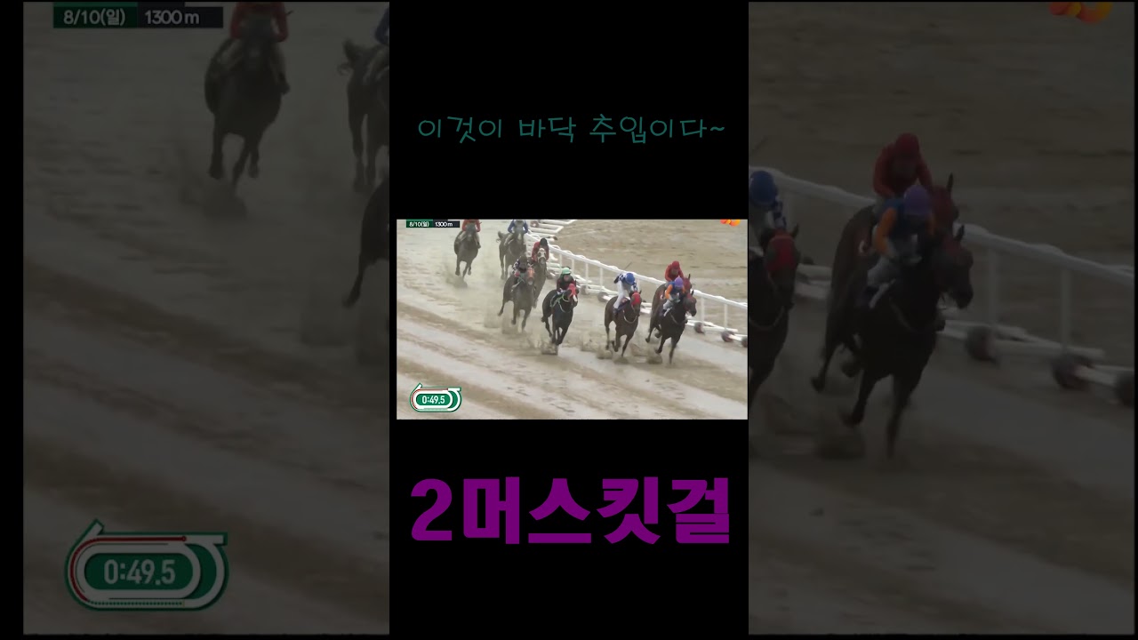 2025년 8월 10일 일요일 부산경남경마공원 5경주 2머스킷걸 바닥 추입 우승!!#shorts