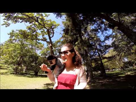 Langhelg I Awasa Weekend In Hawassa 