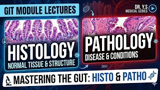 Git module - pathology - L1 ( salivary glands and esophogoys diseases)