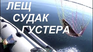 83 Ловля Леща На Кольцо. Эффективная Донка На Судака. Открытие Рыбалки.//Volga Fishing