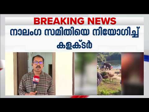 ചിന്നക്കനാലിലെ കാട്ടാനശല്യം പഠിക്കാൻ നാലംഗ സമിതിയെ നിയോഗിച്ച് കളക്ടർ
