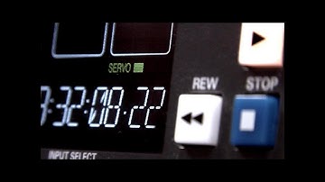 Fuzzing Nation - Free spirit (official video)