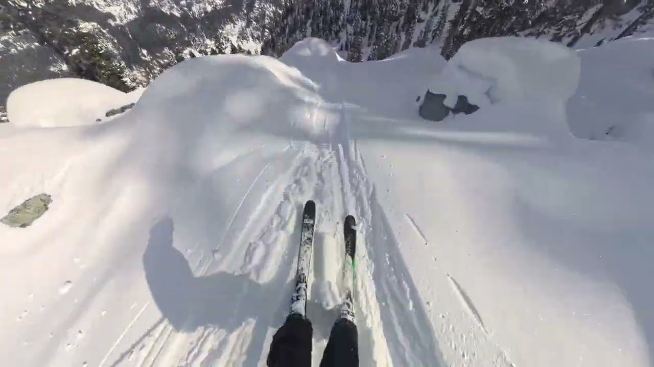 bluebird and some pow