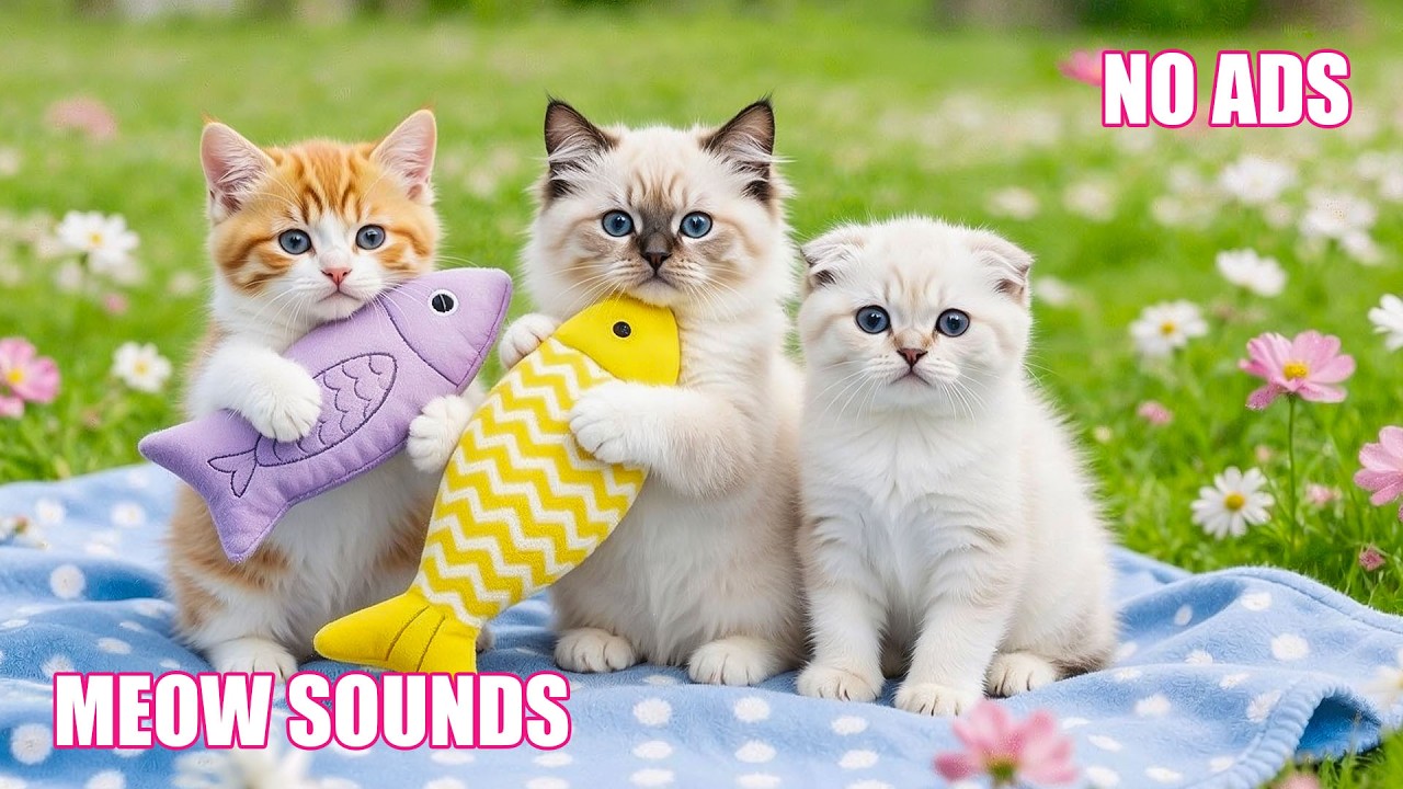12 Hours Calming Music for Cats 😴 Deep Calm Music, Relaxed Cats, Emotional Balance 🌿 No Ads
