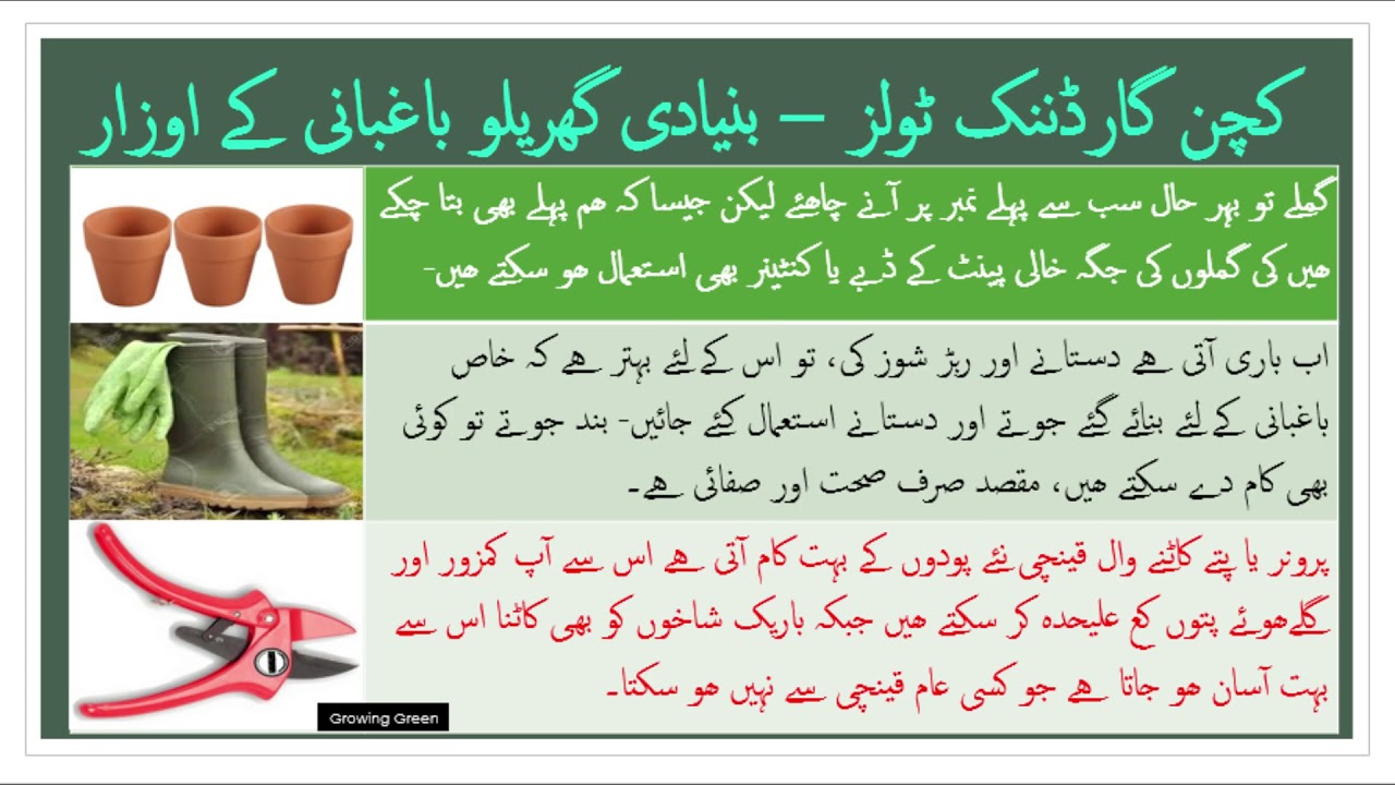 Kitchen gardening گھریلو با غبا نی / Tips and tools for beginners