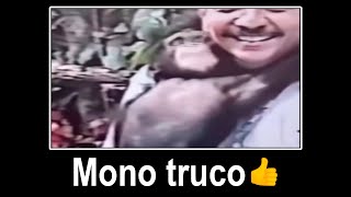 MONO TRUCO 