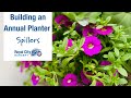 Get growing series building an annual planter  spillers  royal city nursery