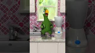 TalkingPierreTheParrot