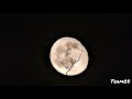 Amazing Facts |#3| moon