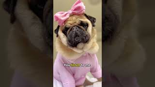 Celebrity Mother - Pug Edition 🐾 I am your puppy, you LISTEN to ME! #shorts #dog Profile