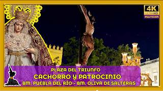 EL CACHORRO Y PATROCINIO. PLAZA DEL TRIUNFO. SEMANA SANTA SEVILLA 2026. MULTICÁMARA 4K