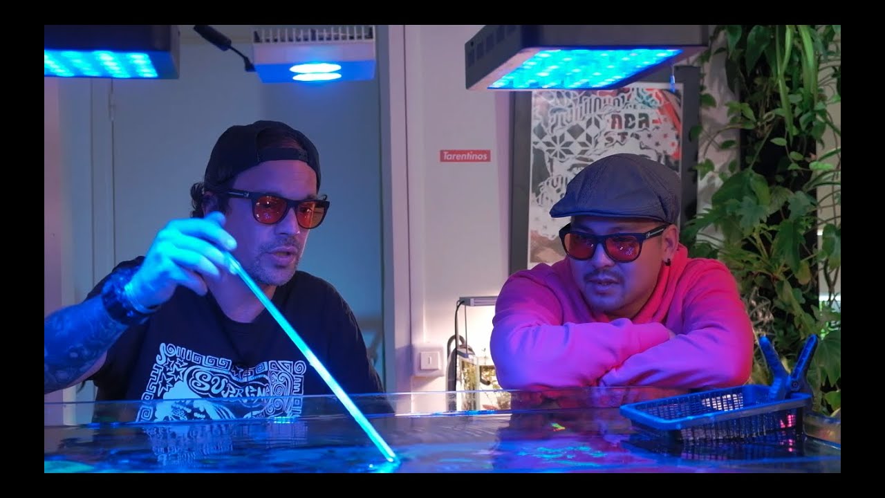 JE ME FAIS KIDNAPPER PAR TOOPET ! « FAIS VOIR TON BAC