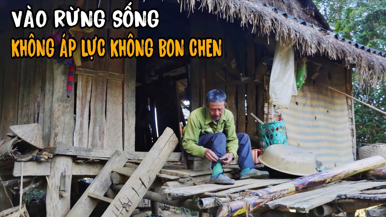 Rời xa thành phố những ngôi nhà ẩn mình sống xung quanh hồ tuyệt đẹp