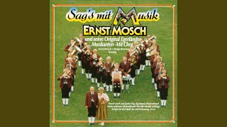 Wo die Musik erklingt (Marschlieder-Potpourri)