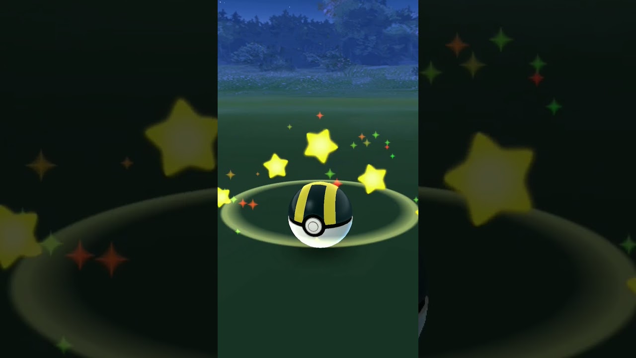 my first galarien bird