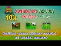 ඔිස්ටෙිලියන් තණකොල නිවැරදි ලෙස වවමු ( How to grow the Australian grasses in a correct way  )