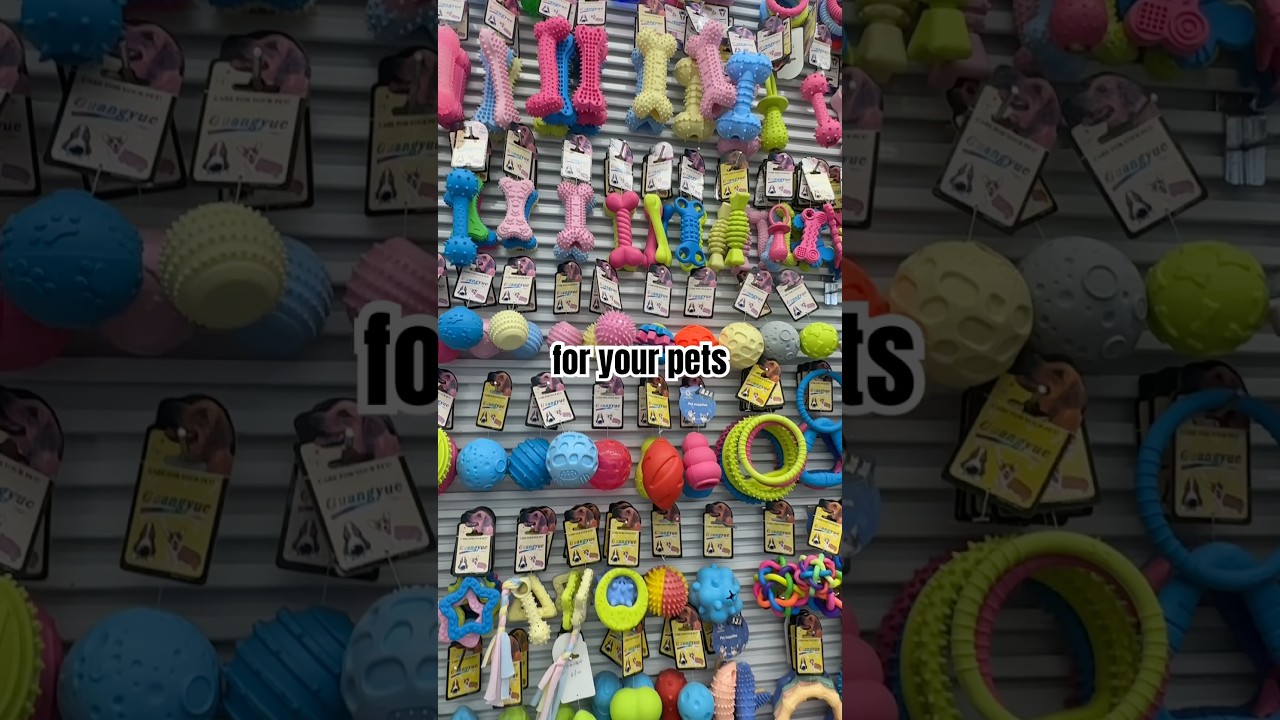 Best toys for pets at factory prices from China. 