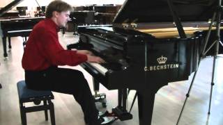 Grieg - To the Spring Op. 43 No. 6 ( Til våren) - Grzegorz Niemczuk, Bechstein Concert Piano
