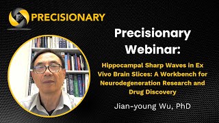 Precisionary Webinar: Jian-young Wu on "Hippocampal Sharp Waves in Ex Vivo Brain Slices..."