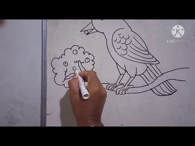 9800 Sketsa Gambar Burung Kutilang Terbaik