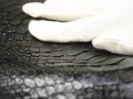 パイソン メンズ 蛇革 ステンカラーコート ステンカラージャケット 商品番号:4274