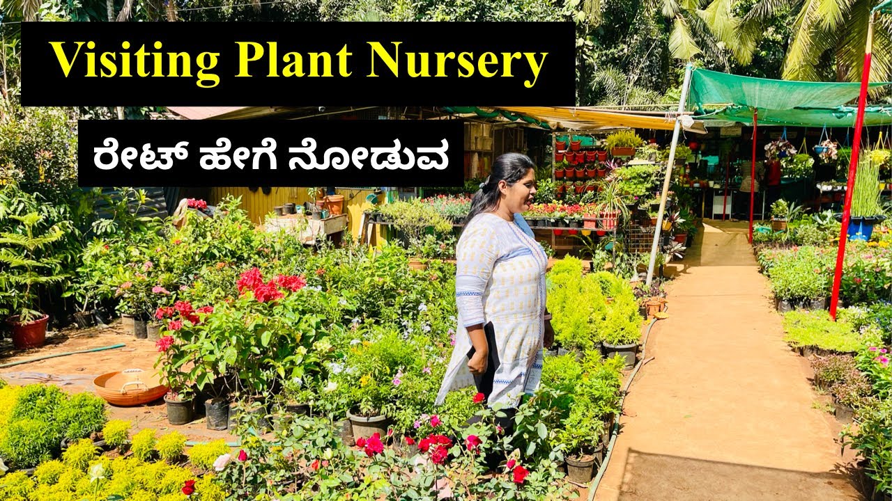 Visit to Mangalore Plant Nursery!! YouTube