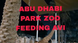 Feeding Time Avi