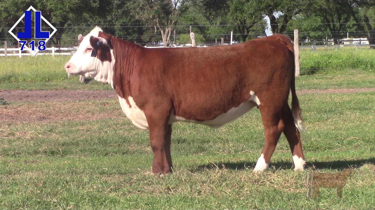 Lot 9 - DBLL JR 507C MARVEL 718