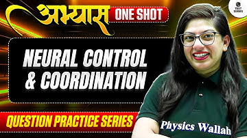 NEURAL CONTROL & COORDINATION - ABHYAS : Question Practice Series for NEET 2026 || PhysicsWallah ⚡