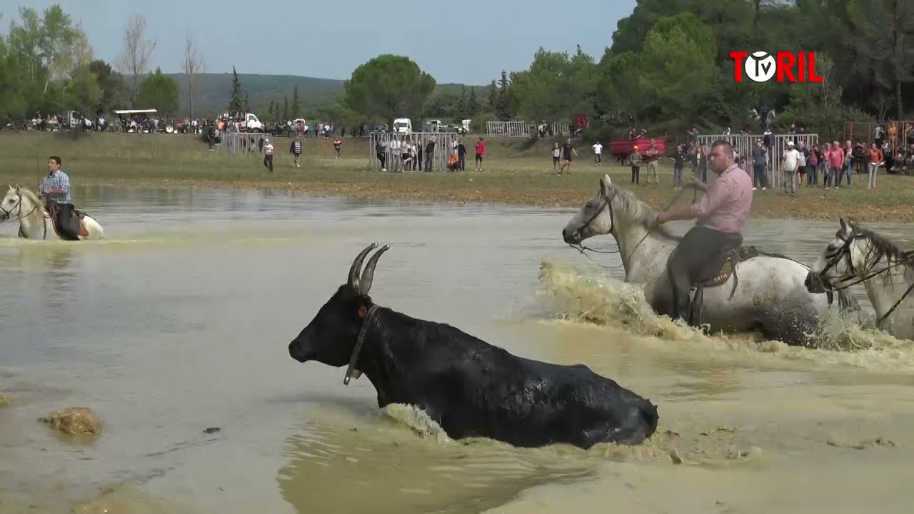EXTRAIT - Gase Lac Saint Maurice de Cazevieille (25 et 26/09/2021)