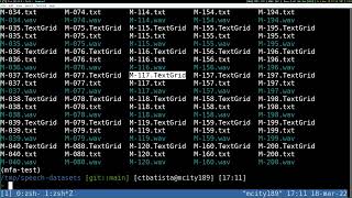 Montreal Forced Aligner via command line