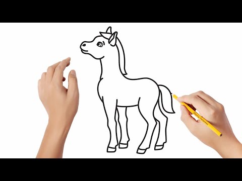 Como desenhar um cavalo de frente - Como desenhar