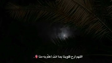 قرآن راحة نفسية🌼| ستوريات قران كريم|قرآن حلات واتس اب 🌺| ستوري أنستغرام قران | قرآن مقاطع قصيرة 🥀|