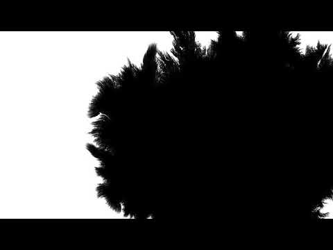 #3 Free Ink Transitions