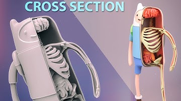 Create Your Own Anatomy Cross Section - Skin, Brains, Guts, Bones, N