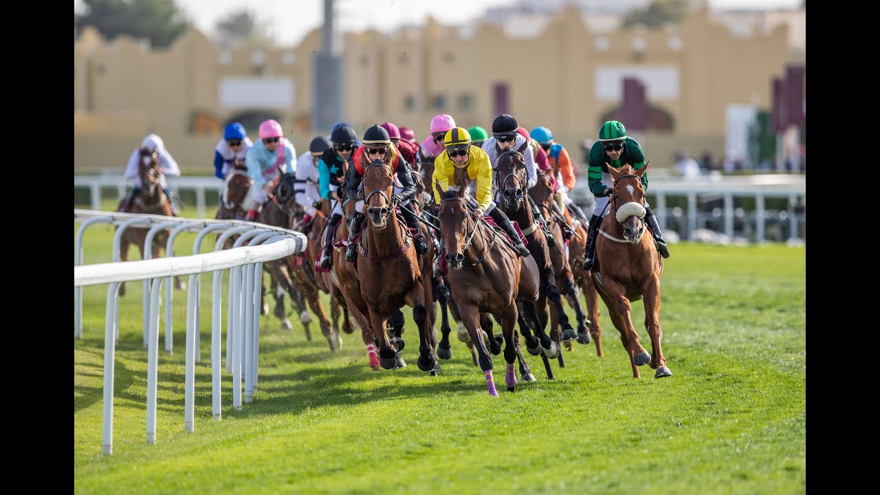 56th Al Rayyan Race Meeting - Al Wakra Cup